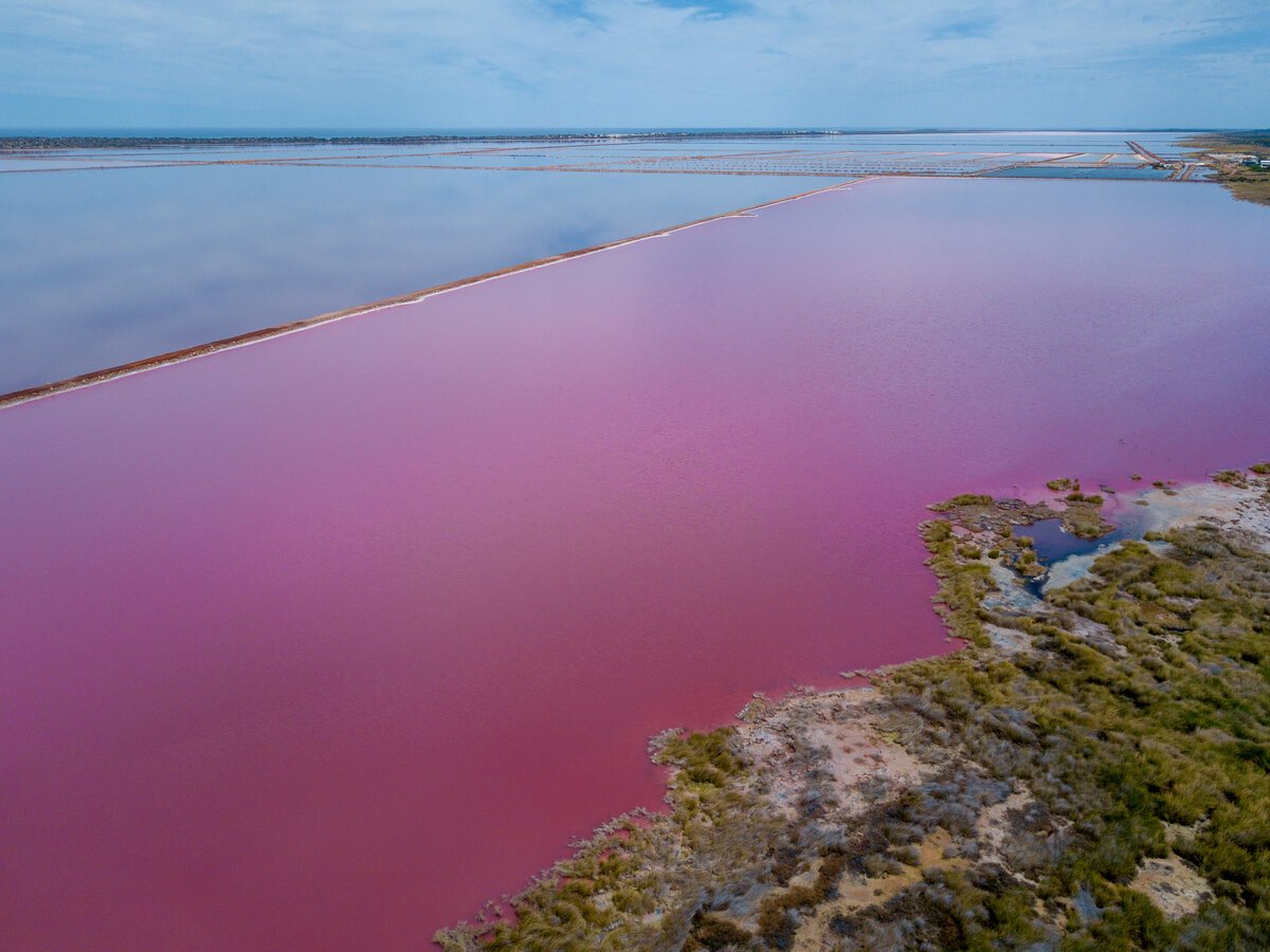 Есть розовое озеро. Озеро Сиваш Щелково. Озеро красное Красноперекопск. Красное озеро Ленинградская область. Красное озеро Алтайский край.