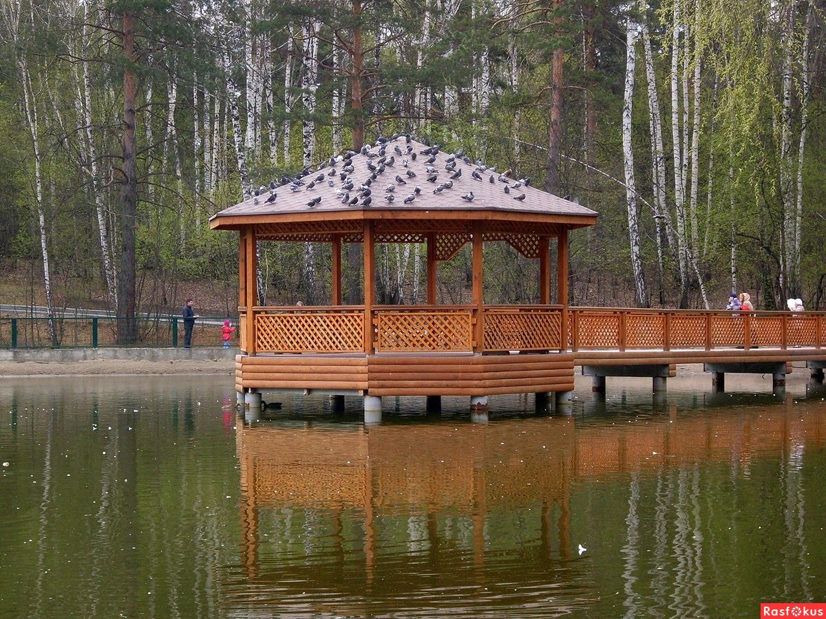 Коркинское озеро беседки