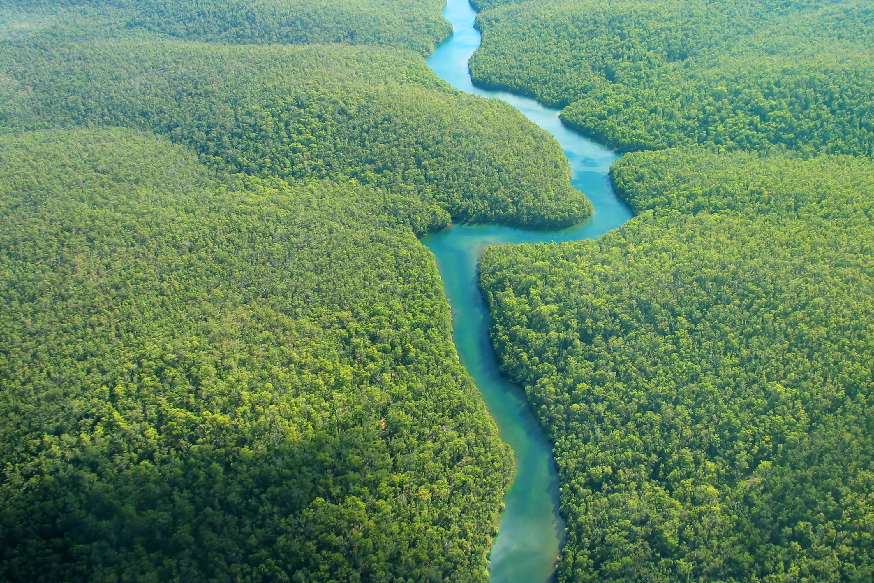 Самая большая река в бразилии