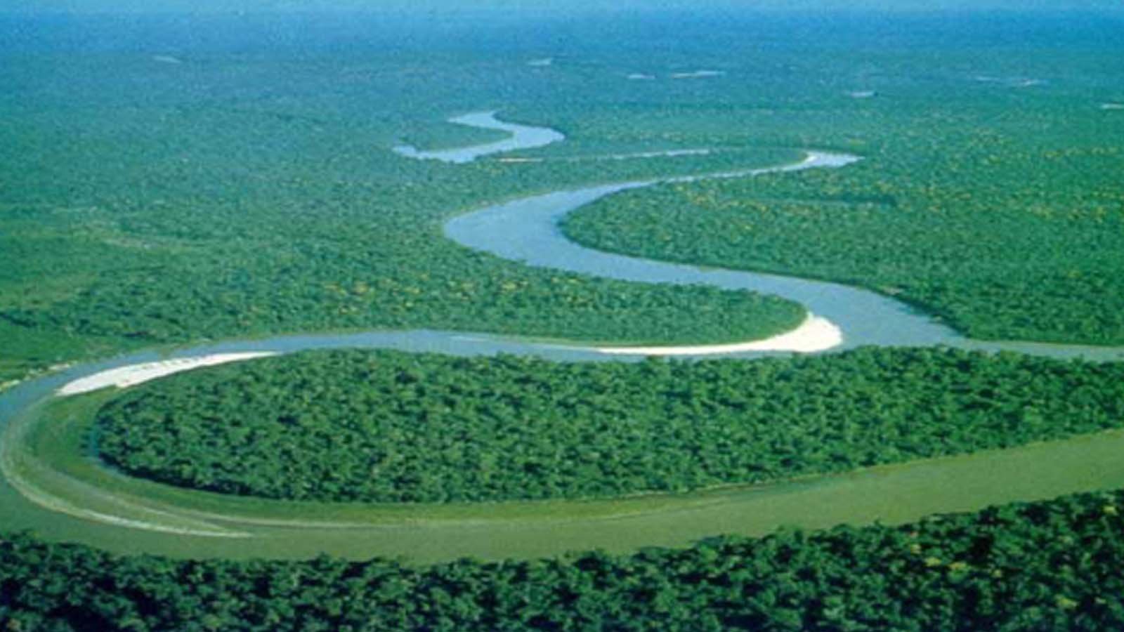 Полноводные реки евразии. Бразилия Амазонская низменность. Южная Америка Амазонская низменность. Самая полноводная река Африки. Амазонская низменность засуха.