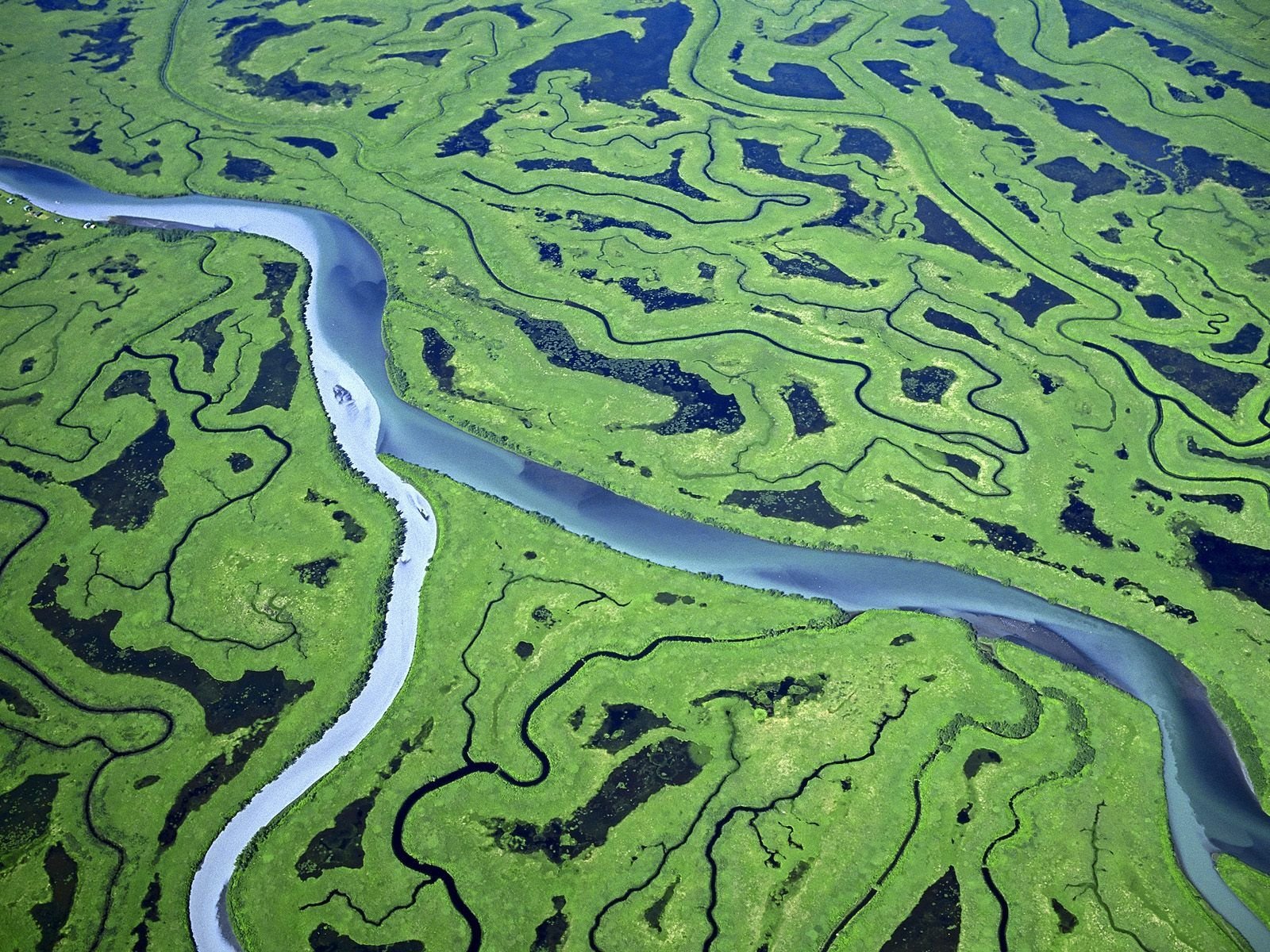 Крупнейшие притоки амазонки. Дельта реки Маккензи. Притоки реки Маккензи. Старица реки. Исток реки Маккензи.