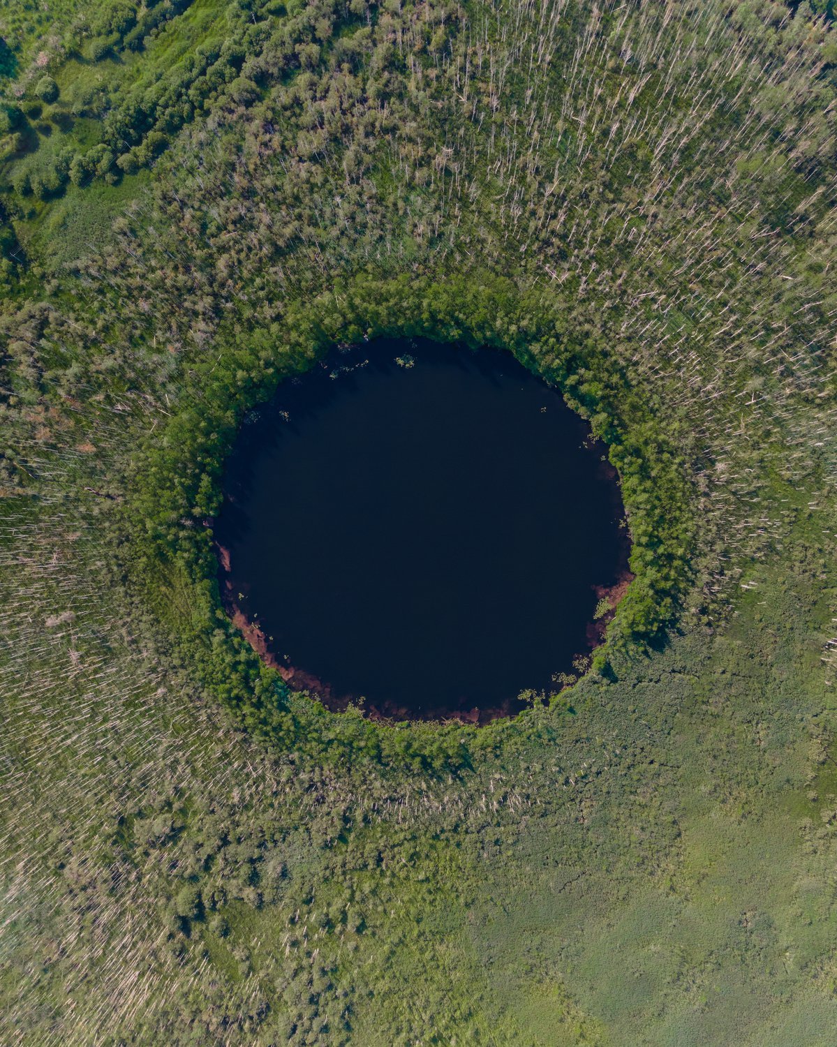 Бездонное озеро Солнечногорск. Бездонное круглое озеро в Солнечногорске. Озеро бездонное в Московской области глубина.