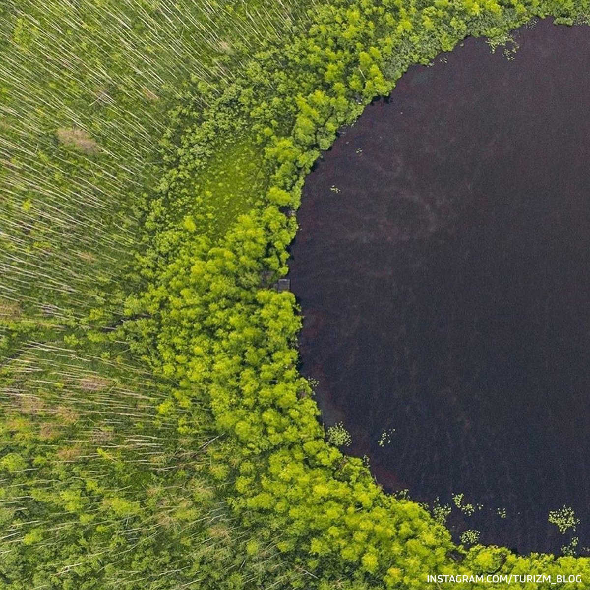 Озеро круглое глубина. Бездонное озеро Солнечногорск. Бездонное озеро Солнечногорск глубина. Круглое озеро Солнечногорск. Бездонное круглое озеро в Солнечногорске.