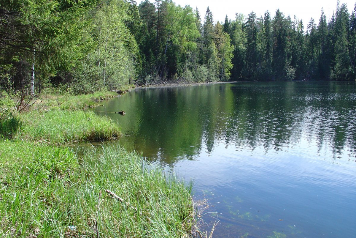 Озеро бездонное Свердловская область