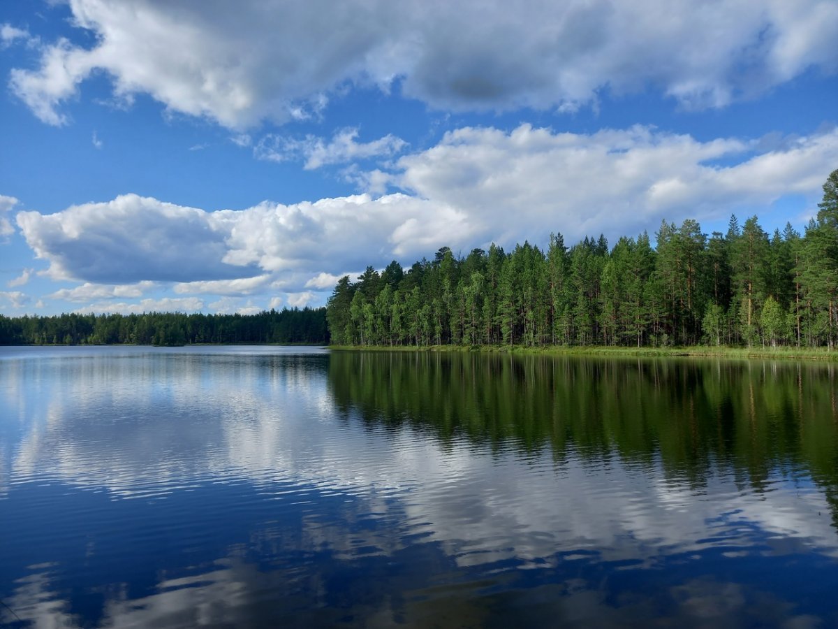 Озеро Воробьево Приозерский район