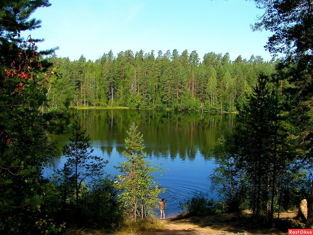 Семиозерье Ленинградская область озера