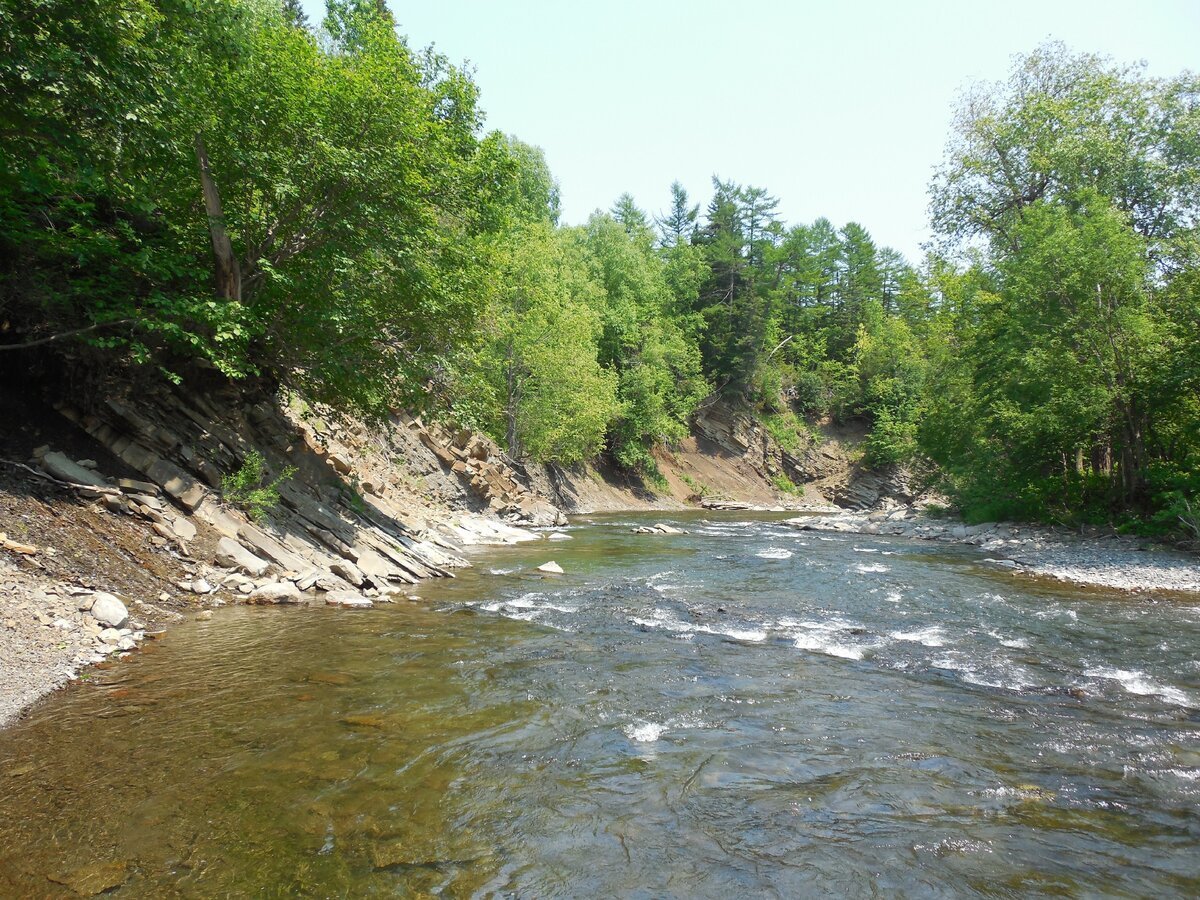 Река Буюклинка Сахалин