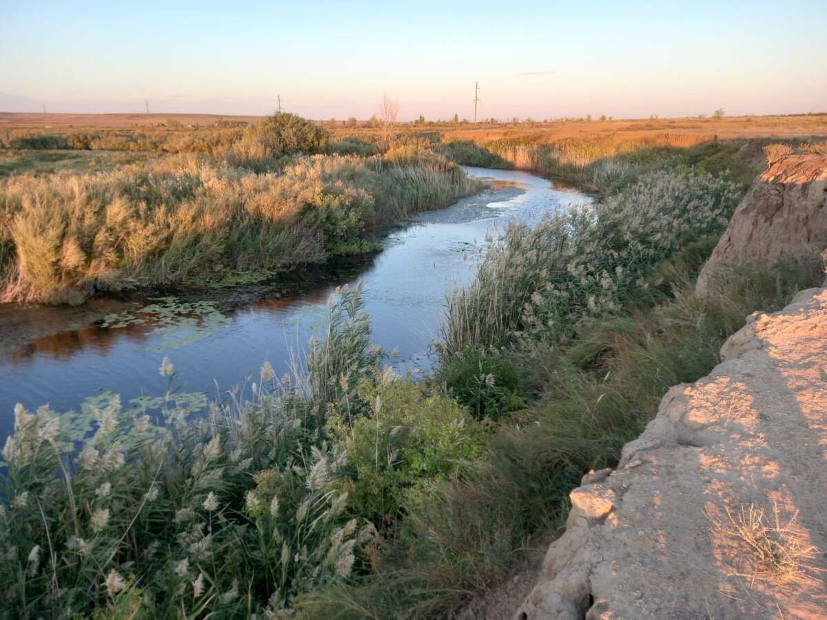 Река Илек в Казахстане