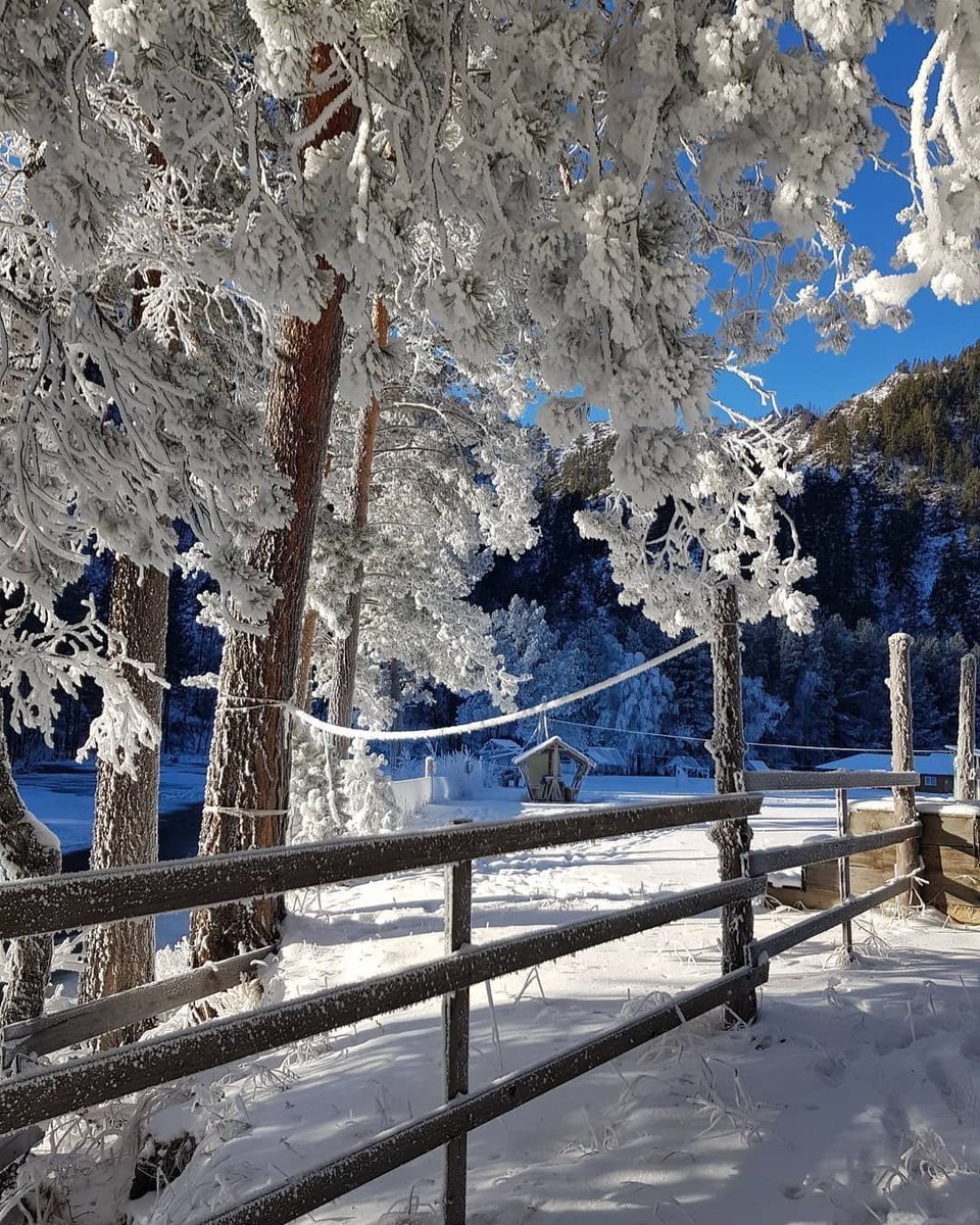 Соузга горный Алтай зимой