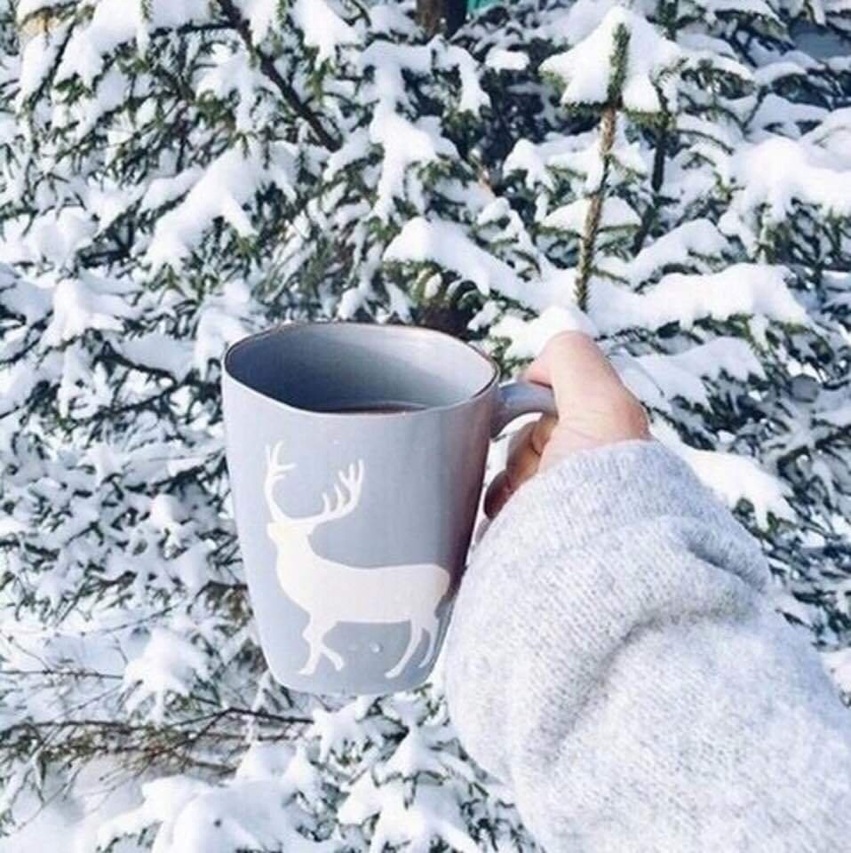 Чашка чая на снегу