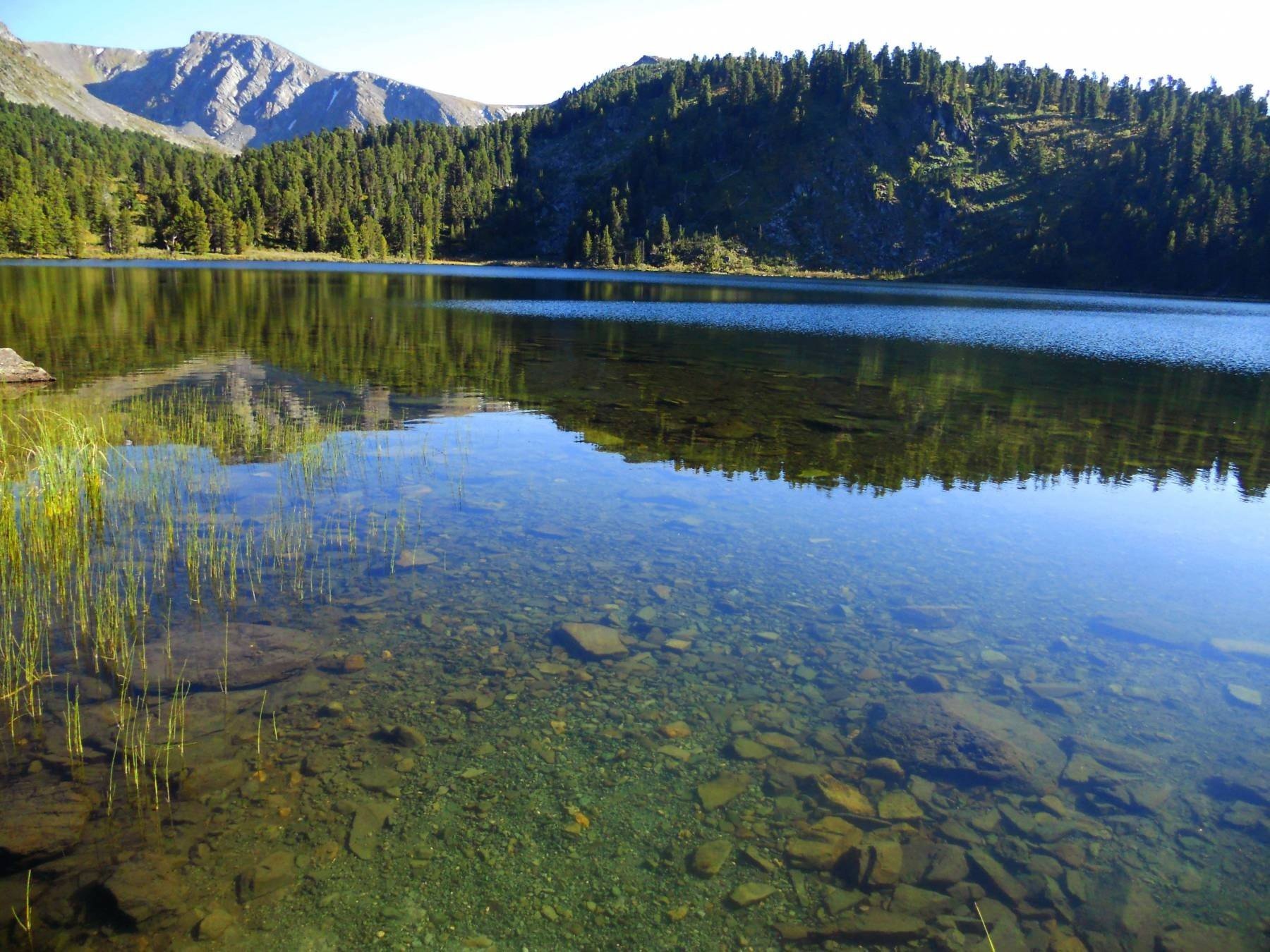 Каракольские озера. Озеро Караколь Алтай. Каракольские озера экскурсии. Кузнецкий Алатау озеро Среднетерсинское. Озеро большое чистое
