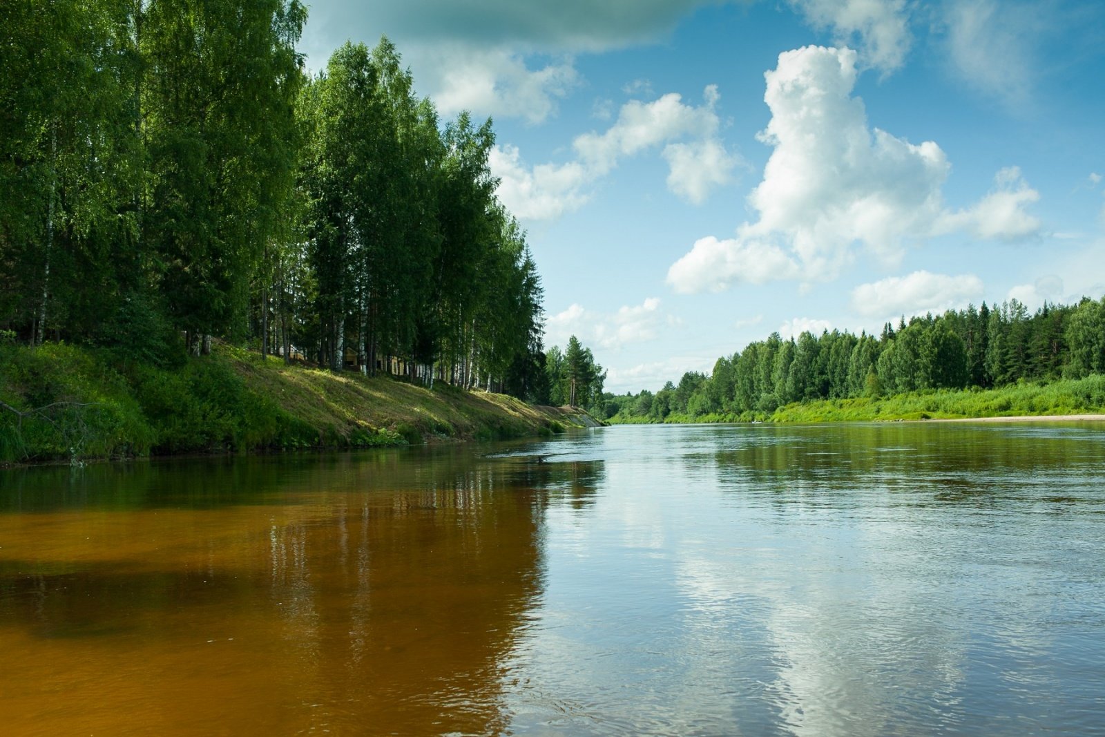 Река Кокшеньга. Река Кокшеньга Архангельская. Тарногский городок река Кокшеньга. Тарноги Вологодская обл река Кокшеньга.