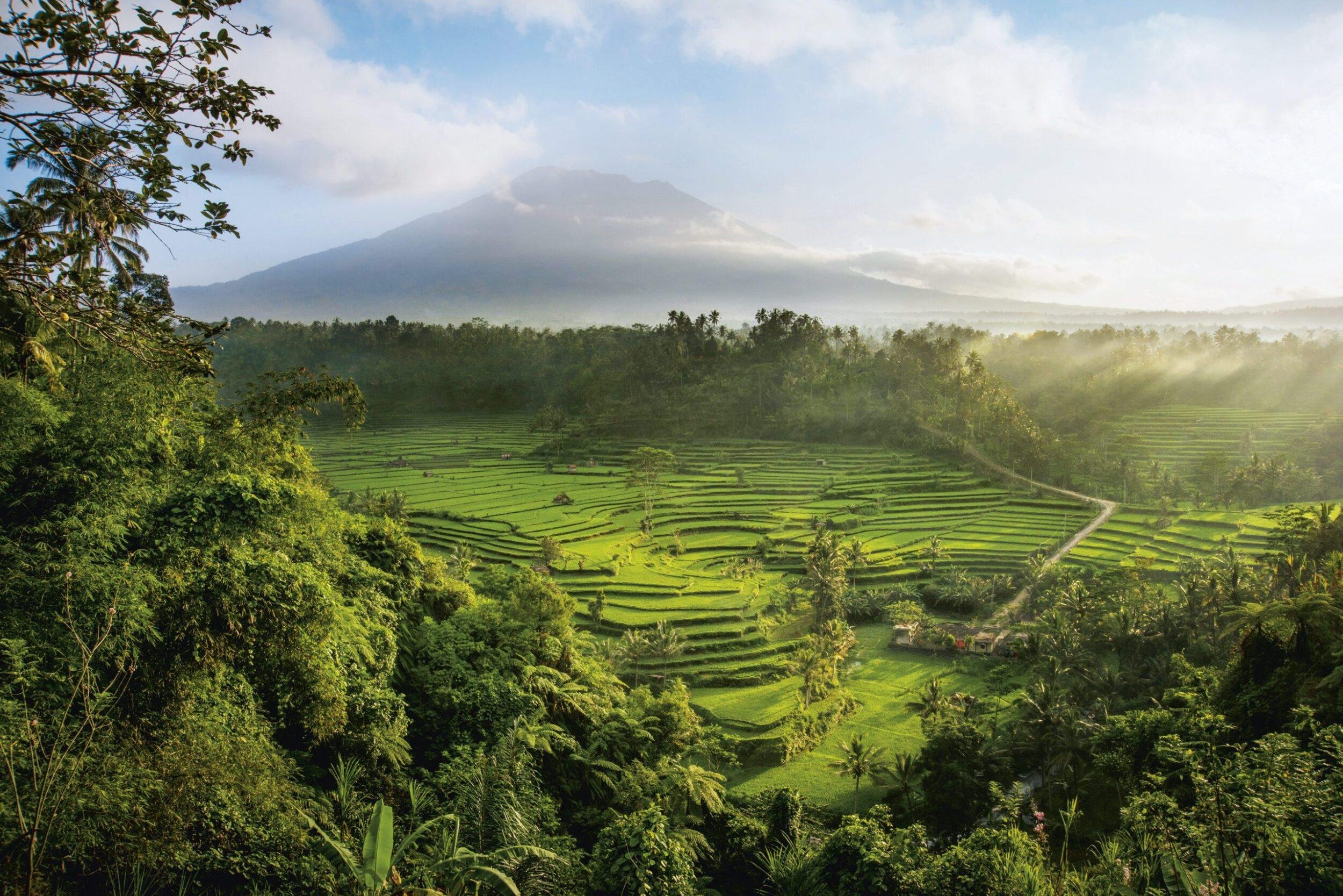 Убуд Бали Индонезия. Бали пейзаж Убуд. Убуд - культурный центр острова Бали. САЙДМЕН Убуд. Виды бали