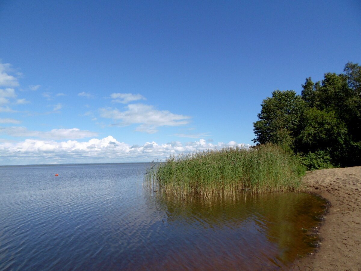 Сестрорецк озеро