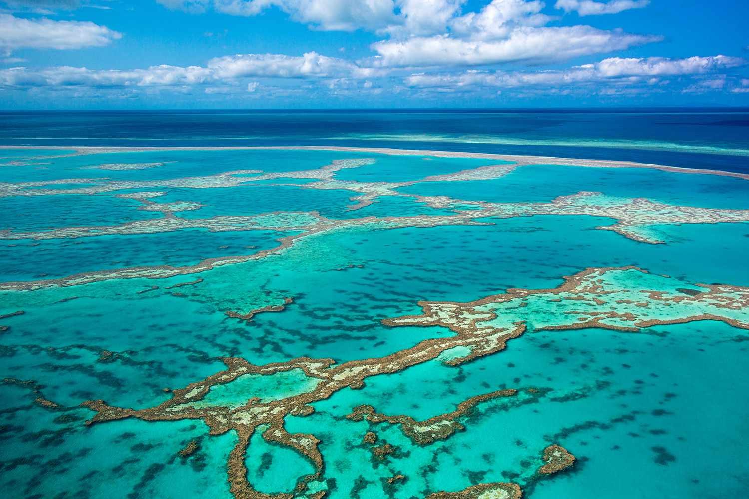Крупнейший остров у берегов австралии. Большой Барьерный риф. Барьерный риф в Австралии. Большой Барьерный риф в коралловом море. Большой коралловый риф в Австралии.