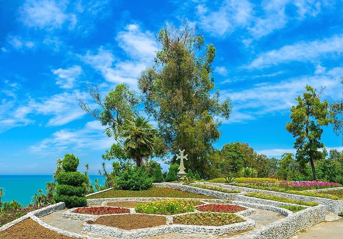 Ботанический сад Грузия Батуми