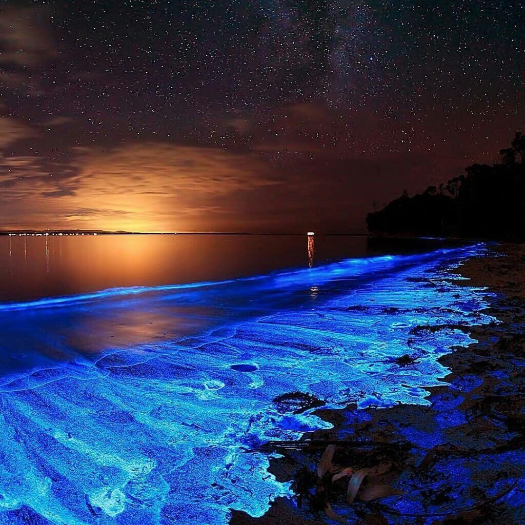 Остров Ваадху Мальдивы. Остров Ваадху, Мальдивы. Планктон. Остров Фуладху Мальдивы. Атолл Ваадху Мальдивы. Наличие света в воде
