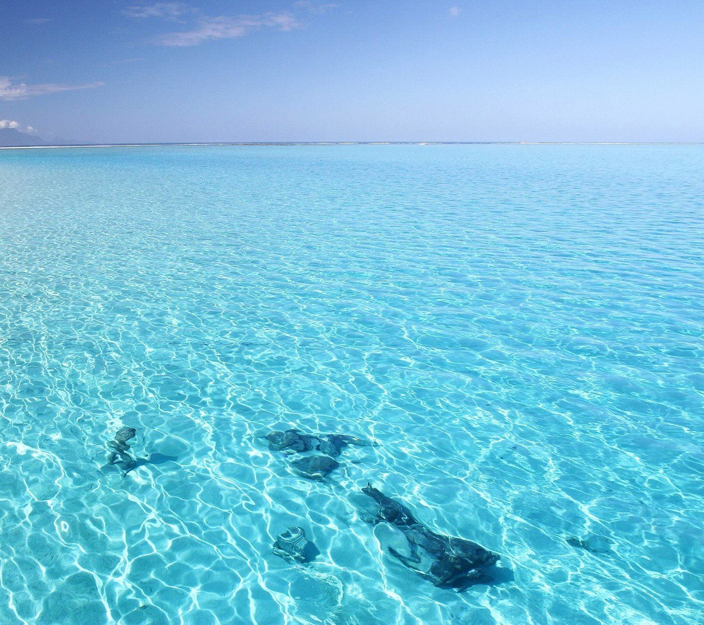 Кристальное море. Прозрачное море. Прозрачная вода. Голубое прозрачное море. Голубая прозрачная вода.