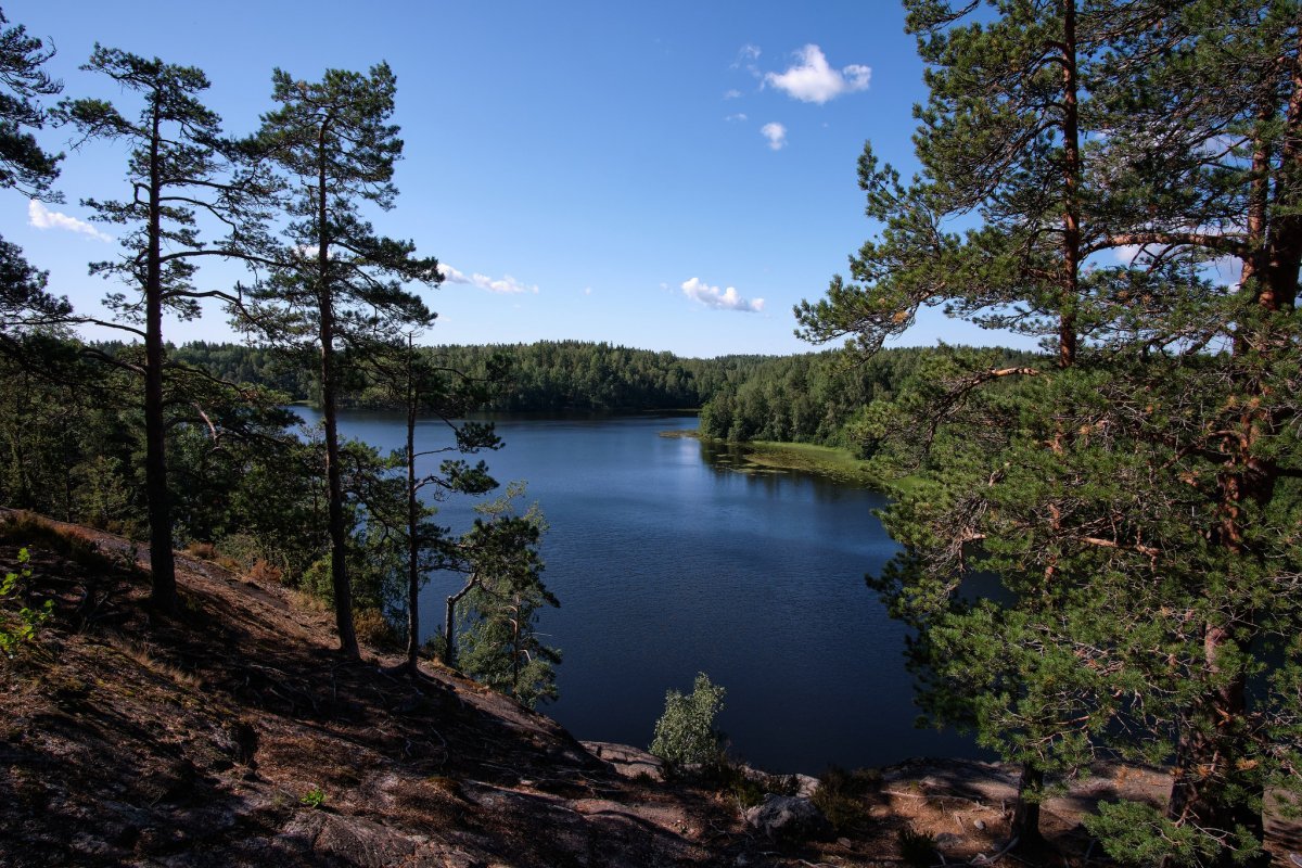Ястребиное озеро Ленинградская область