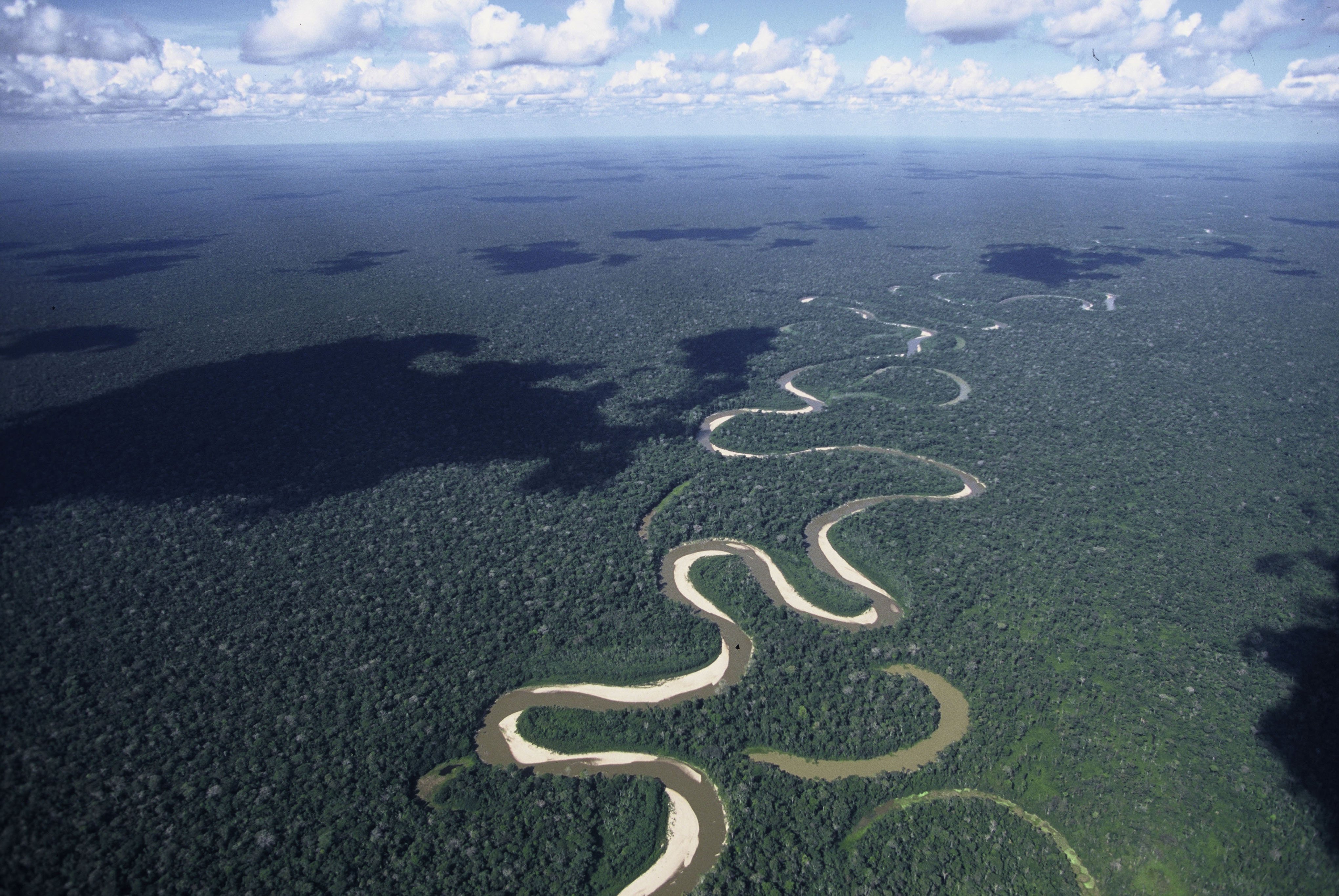 Полноводная река планеты. Амазонка Укаяли Мараньон. Амазонка река Укаяли. Укаяли Исток. Бразилия Амазонская низменность.