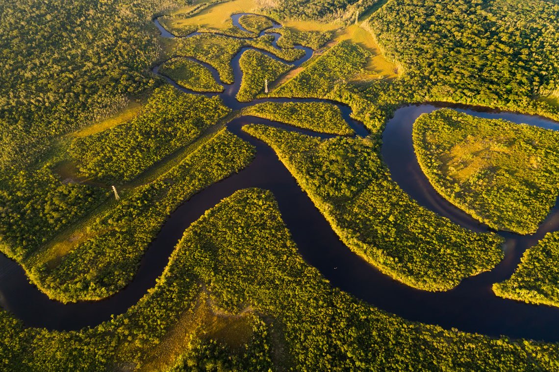 Амазонка сток. Река Амазонка в Бразилии. Бразилия Амазонская низменность. Амазонка река Укаяли. Эстуарий реки Амазонка.