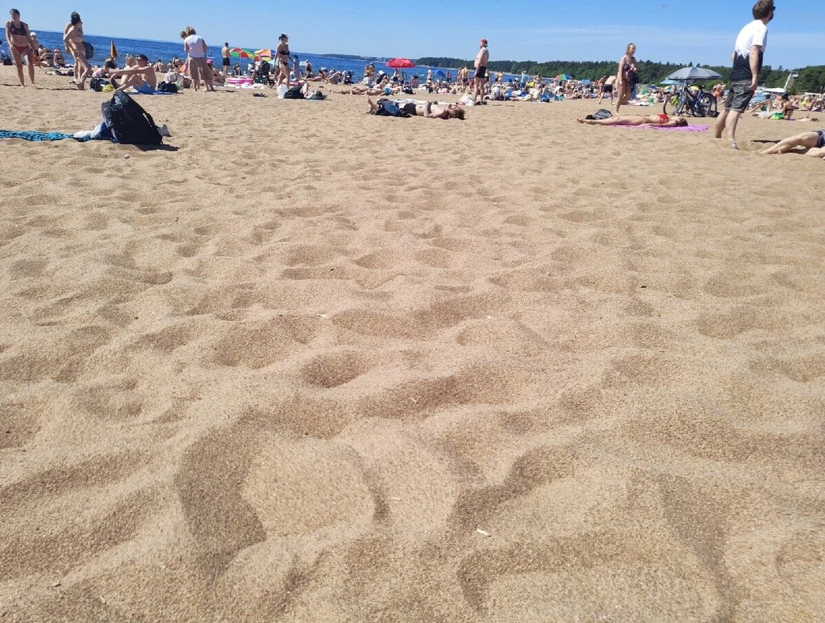 Репино пляж ласковый