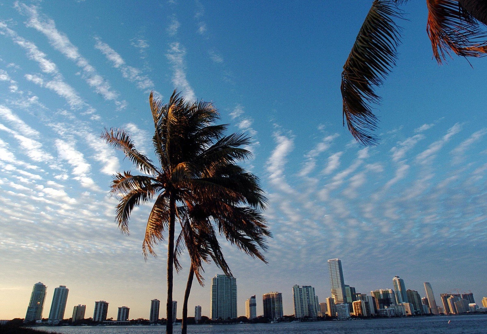 Картинки природа маями. Майами (Флорида). Florida климат. Штат Флорида климат. Климат Майами США.