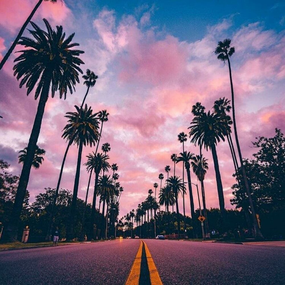 Лос Анджелес Калифорния пальмы