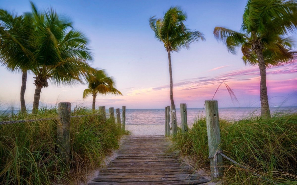 Картинки природа маями. Штат Флорида природа. Флорида тропики. Полуостров Флорида природа. Природа Флориды штат США.