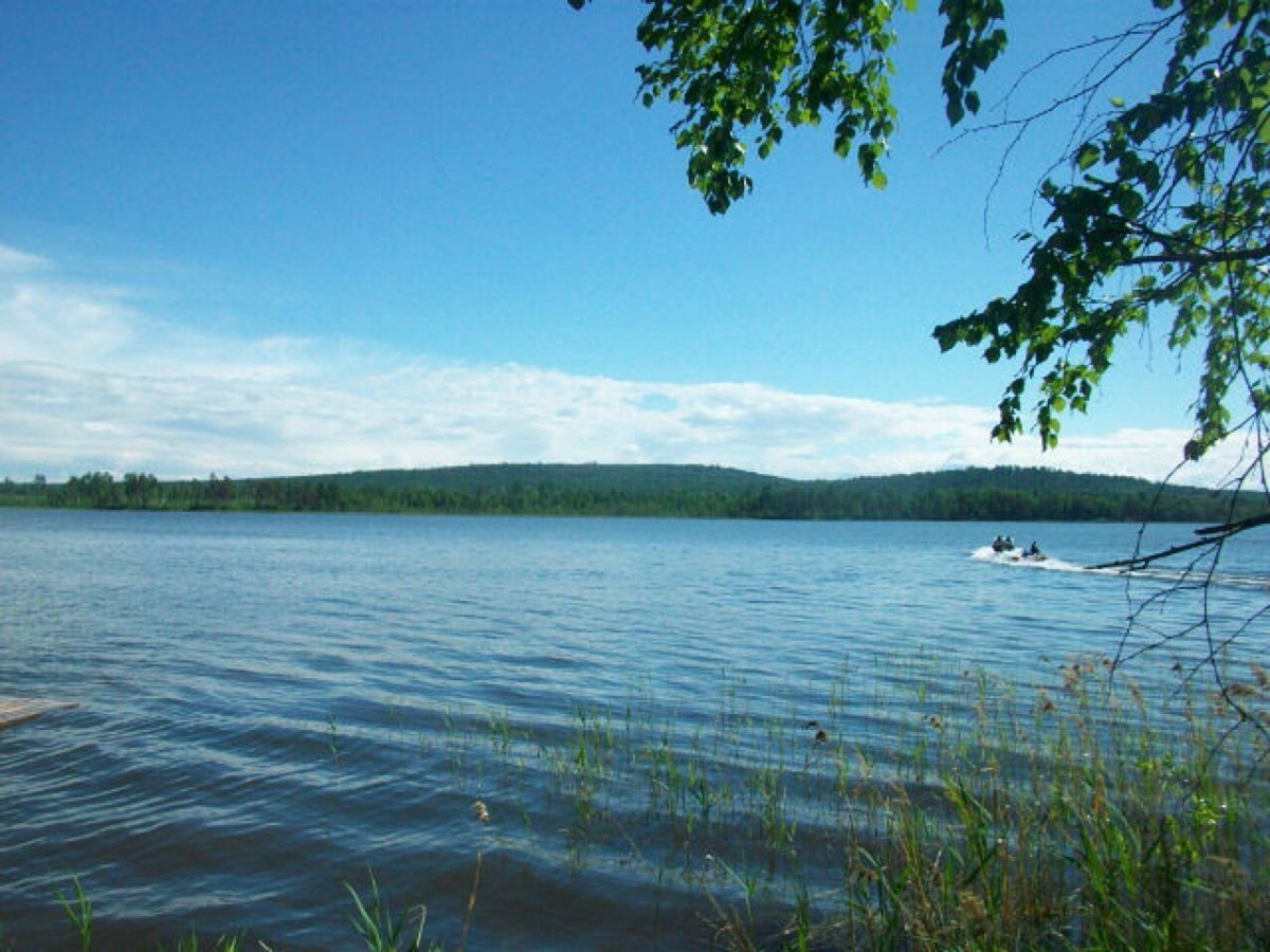 Маслеево озеро Красноярский