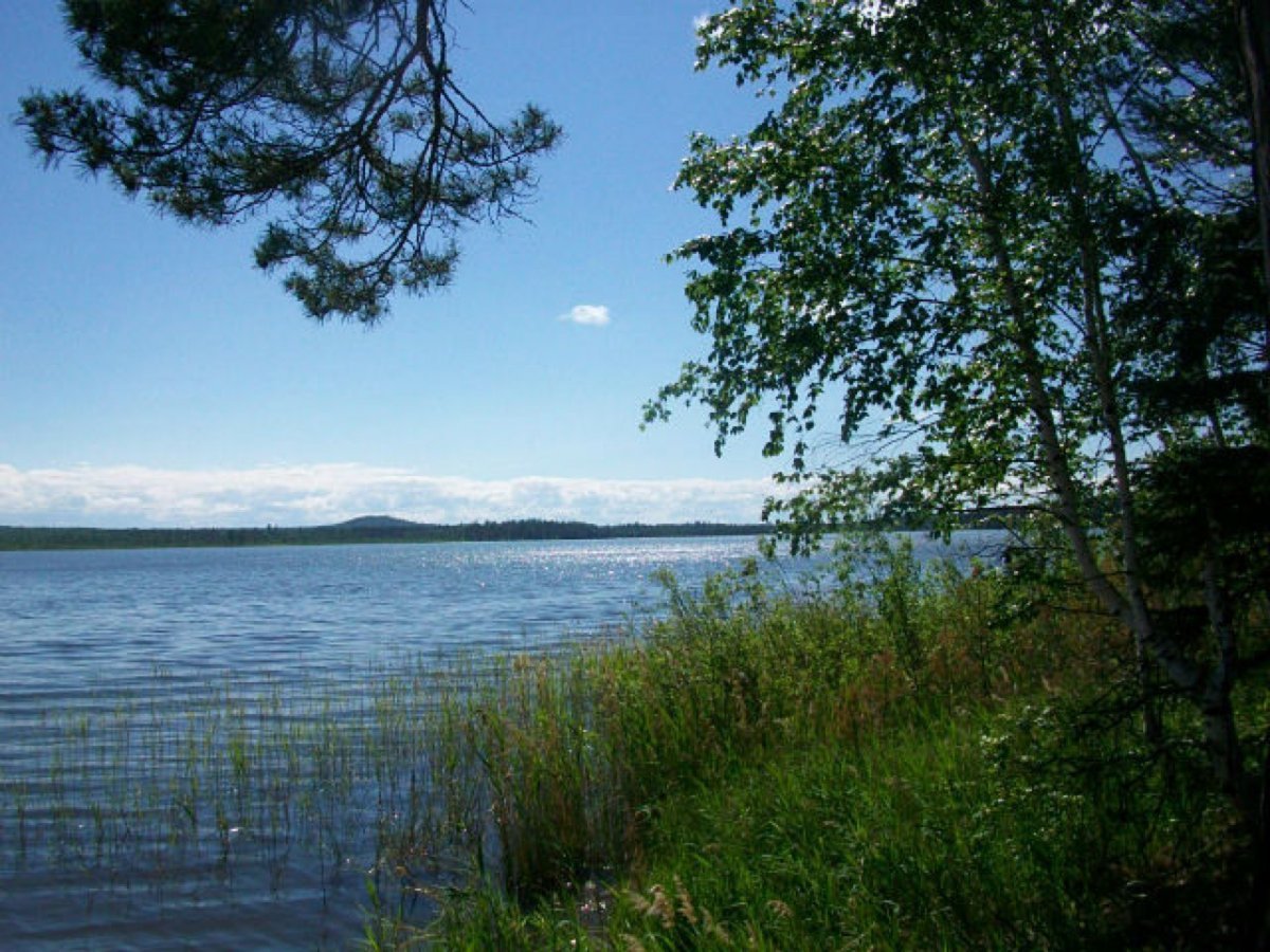 Озеро Маслеево Спарта