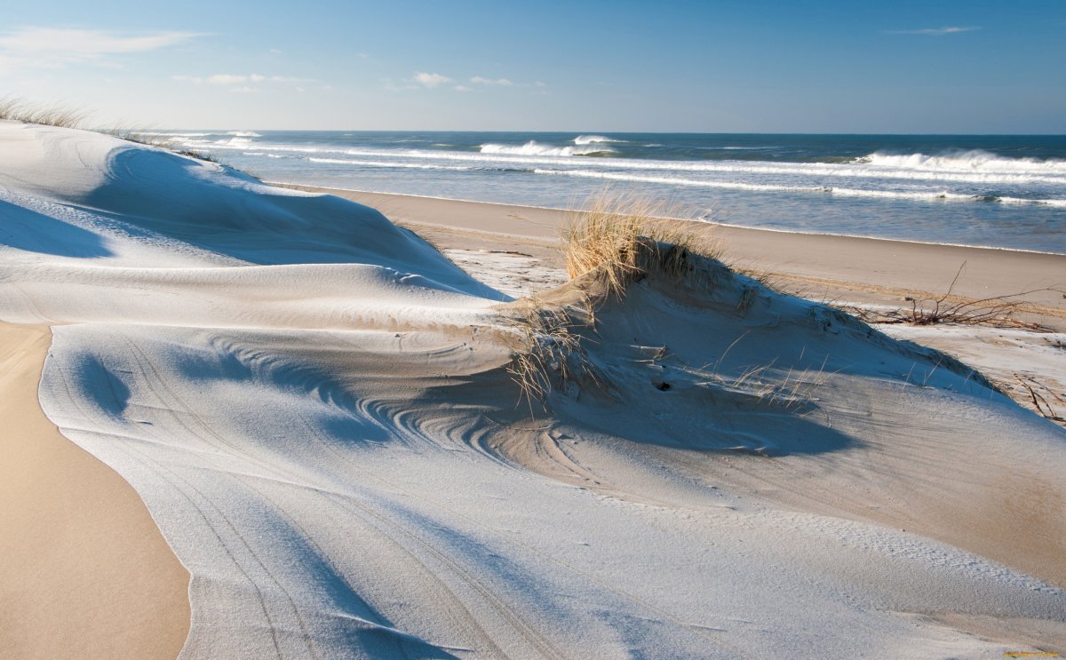 Песчаные дюны Куршская коса