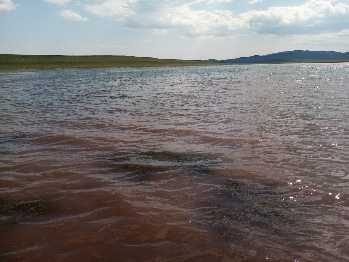Озеро Куринка Хакасия