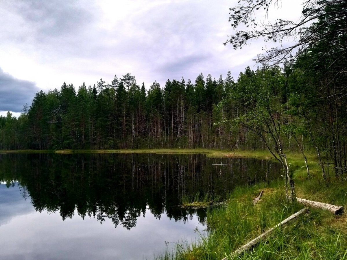Щучье озеро Сосново