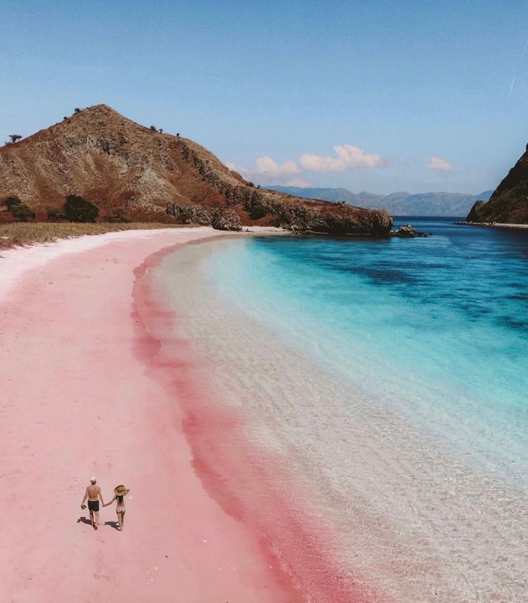 Остров Комодо Индонезия розовый пляж