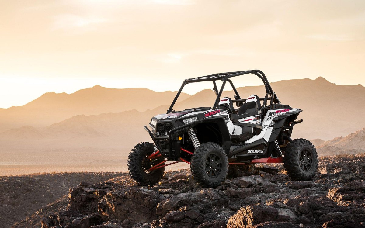 Багги Polaris RZR