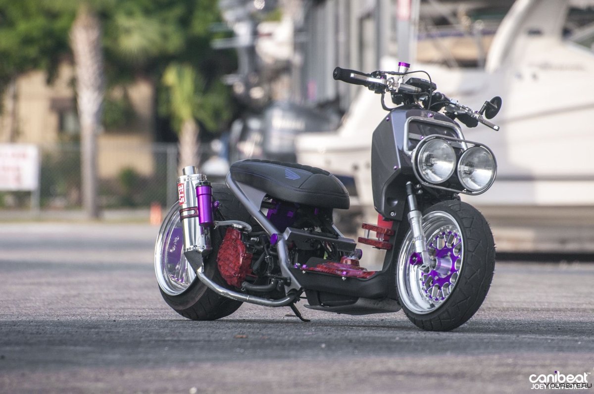 Honda Ruckus Custom zoomer