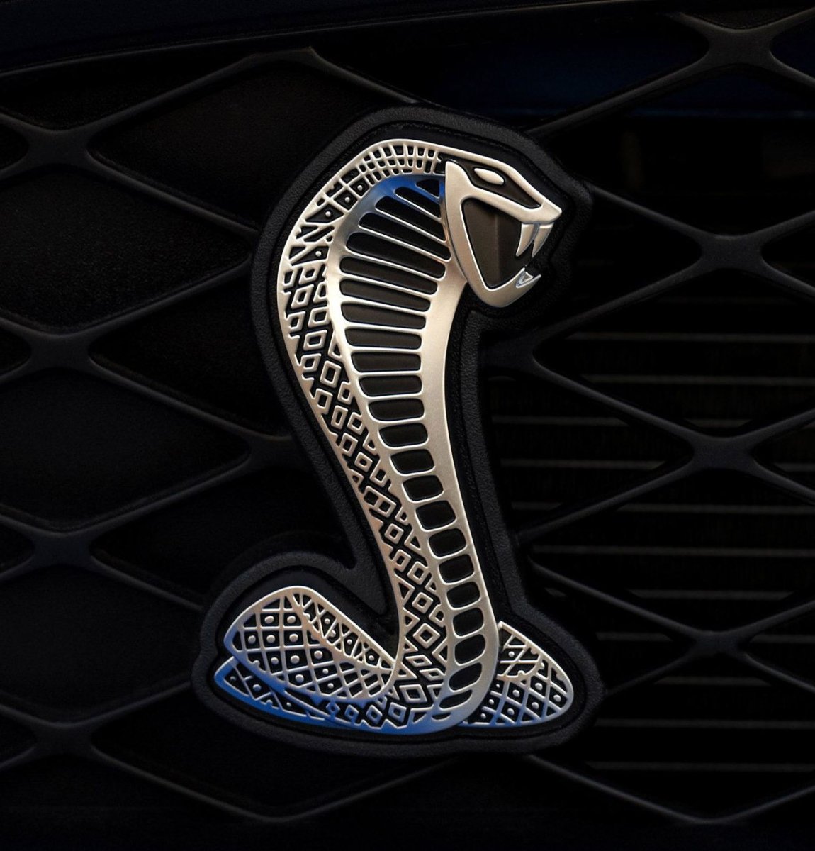 Ford Mustang Shelby gt500 logo