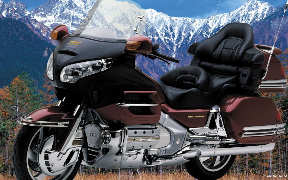 Honda Goldwing 2001