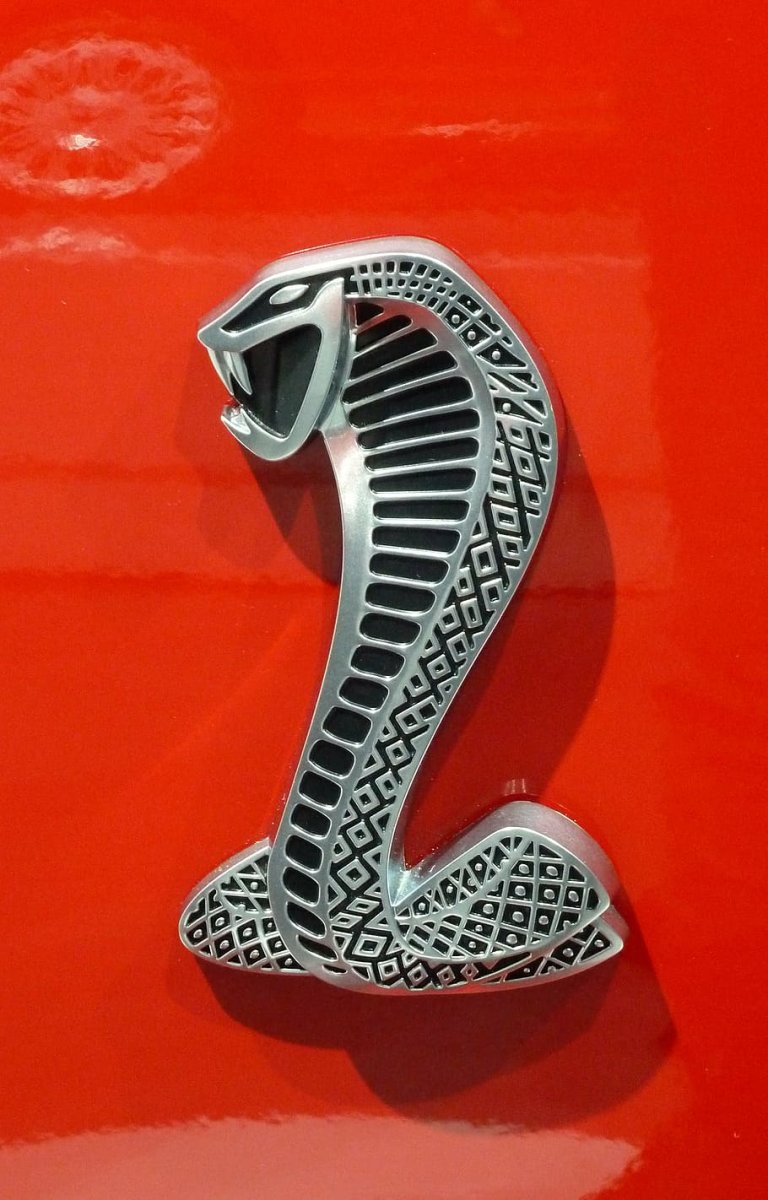 Автомобиль с логотипом кобры
