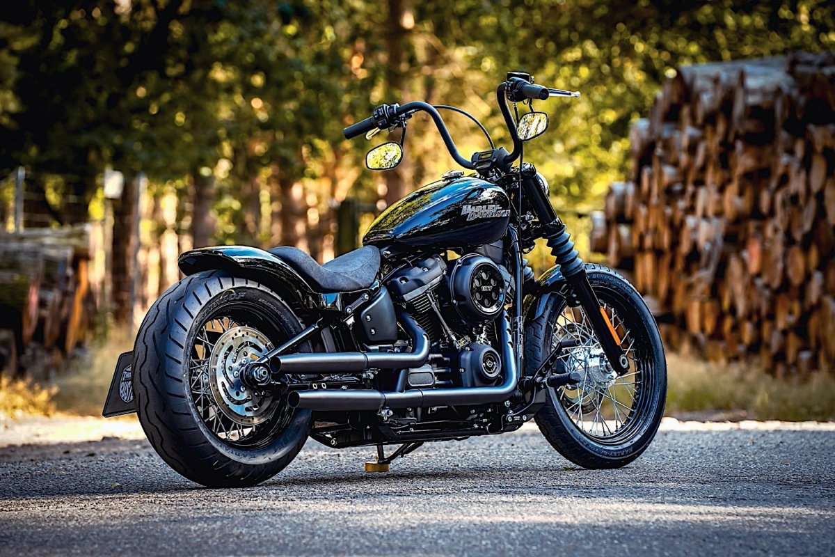 Street Bob Softail wobbling
