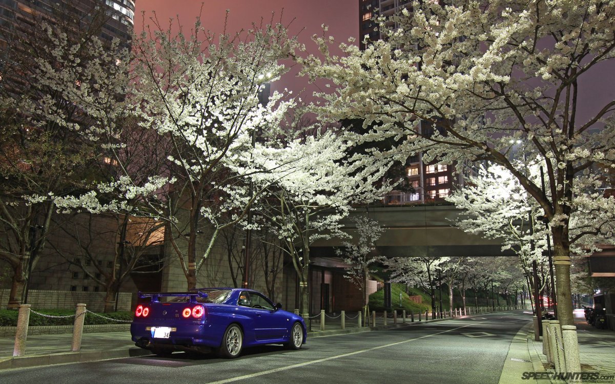 Nissan Skyline Sakura