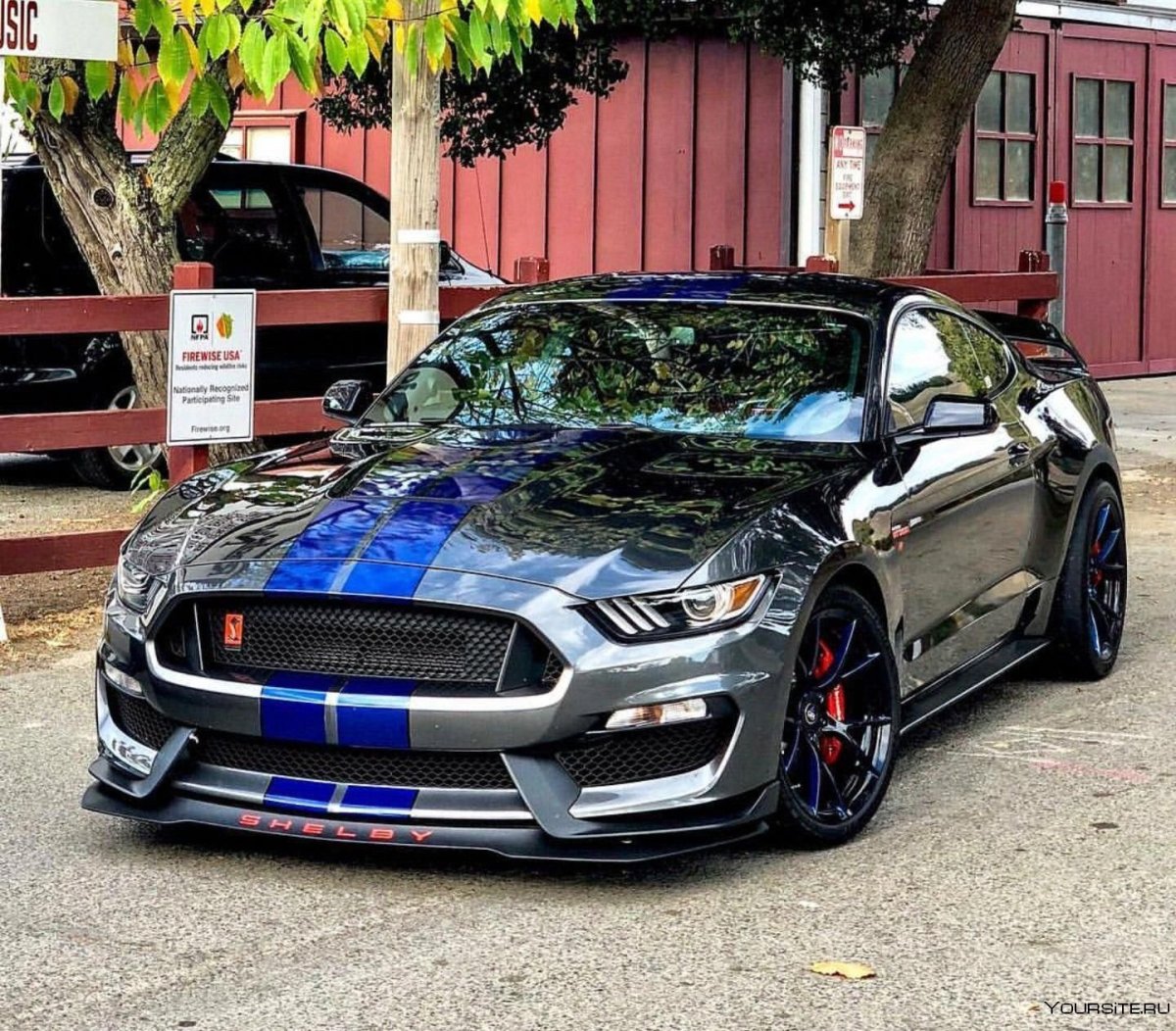 Ford Shelby gt500 super Snake