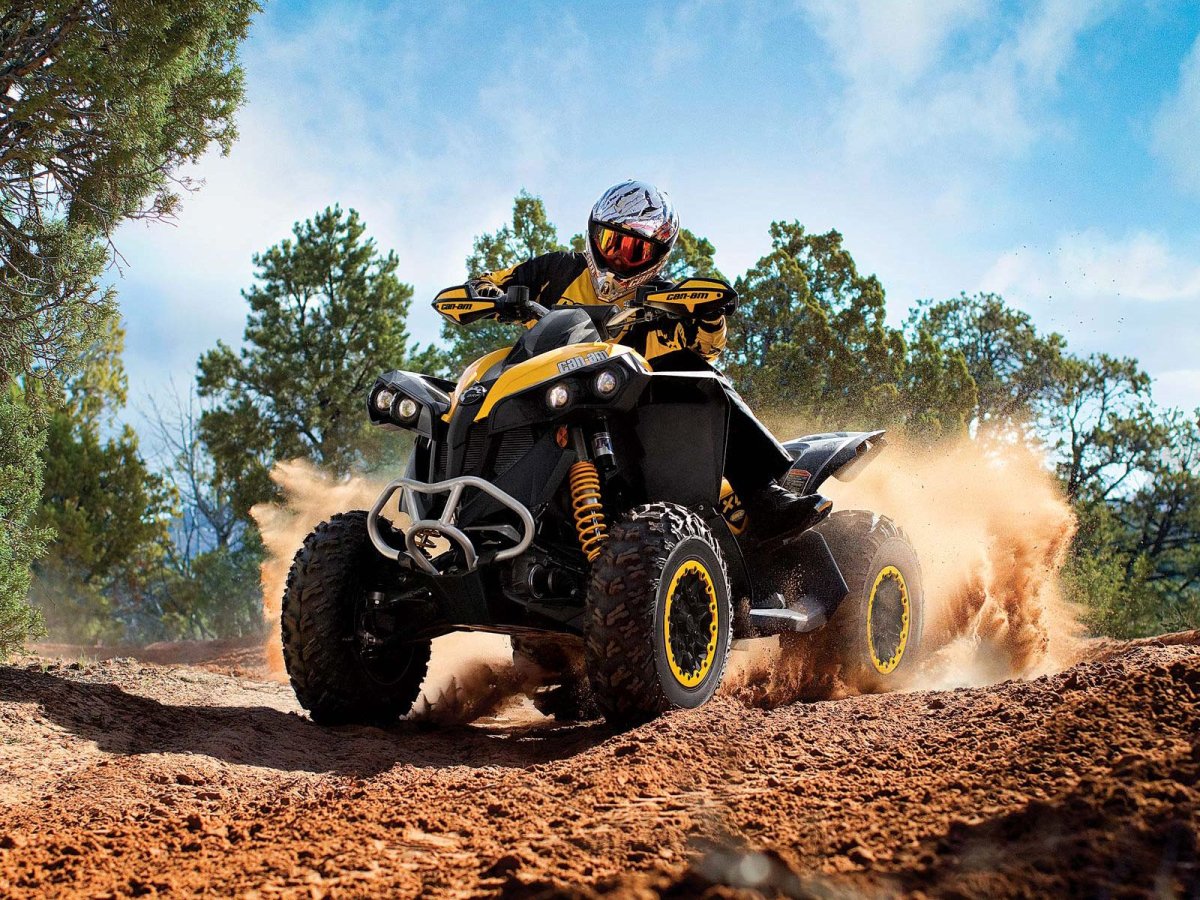 BRP Renegade 2013