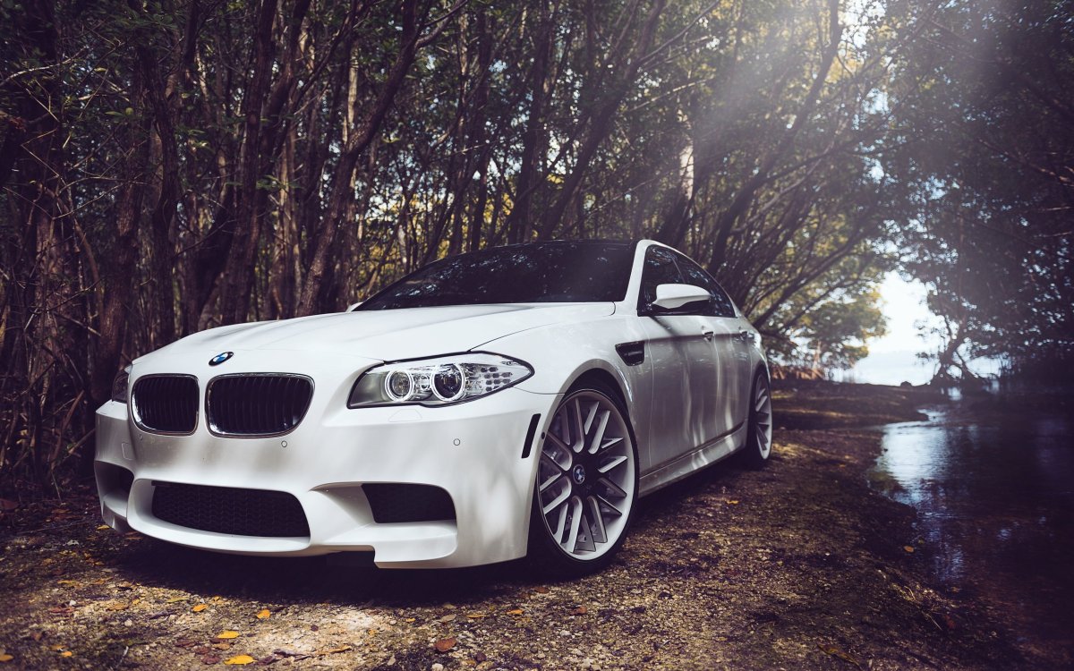 BMW m5 белая