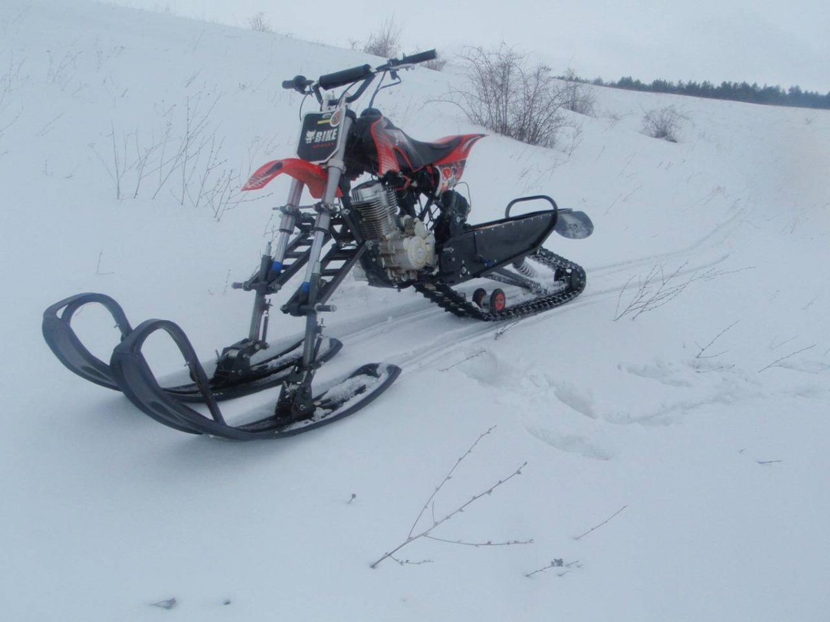 Снегоход Honda Dio