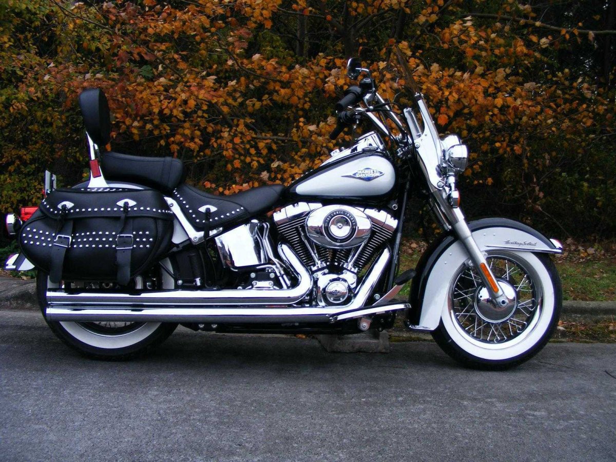 Harley Davidson FLSTC 103 АNV
