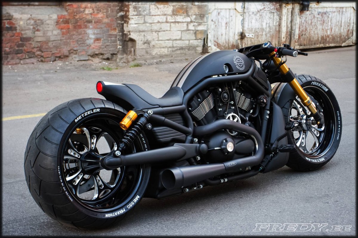 Harley-Davidson Night Rod Special VRSCDX кастом