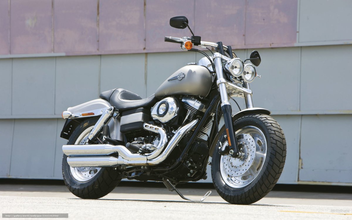 Harley Dyna 1600