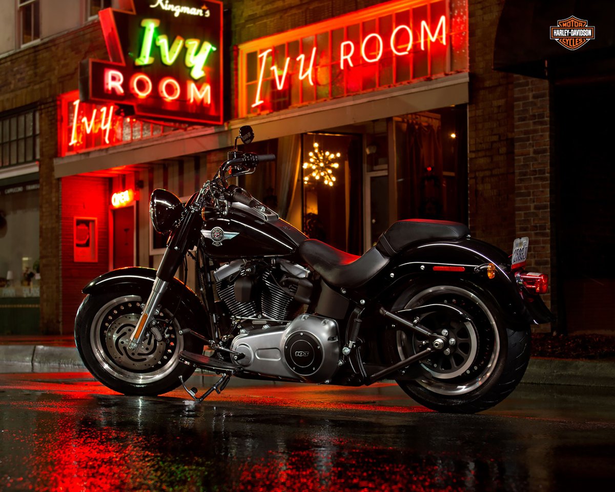 Harley Davidson Fatboy Special 2013